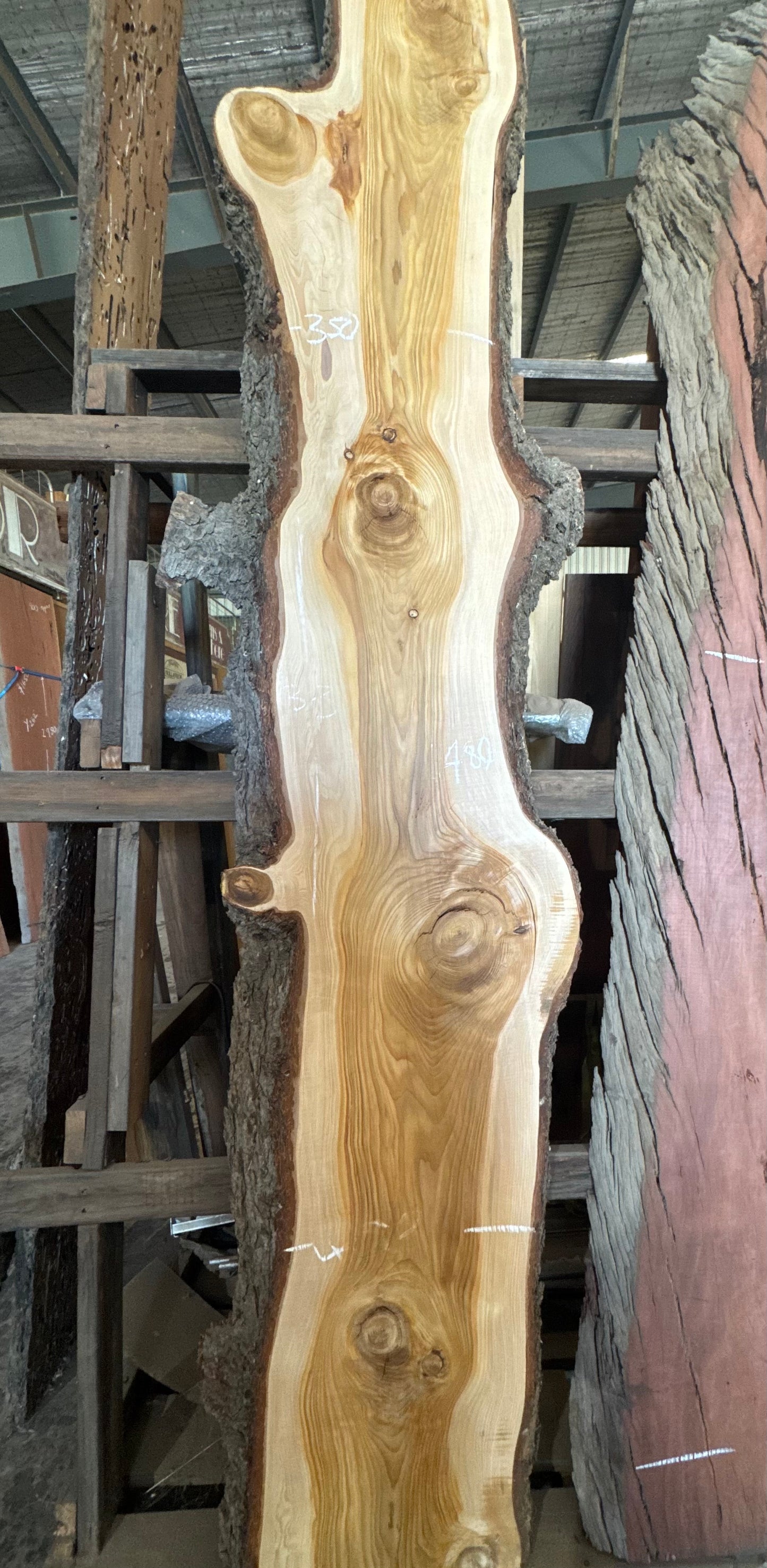 Cypress Timber Slab