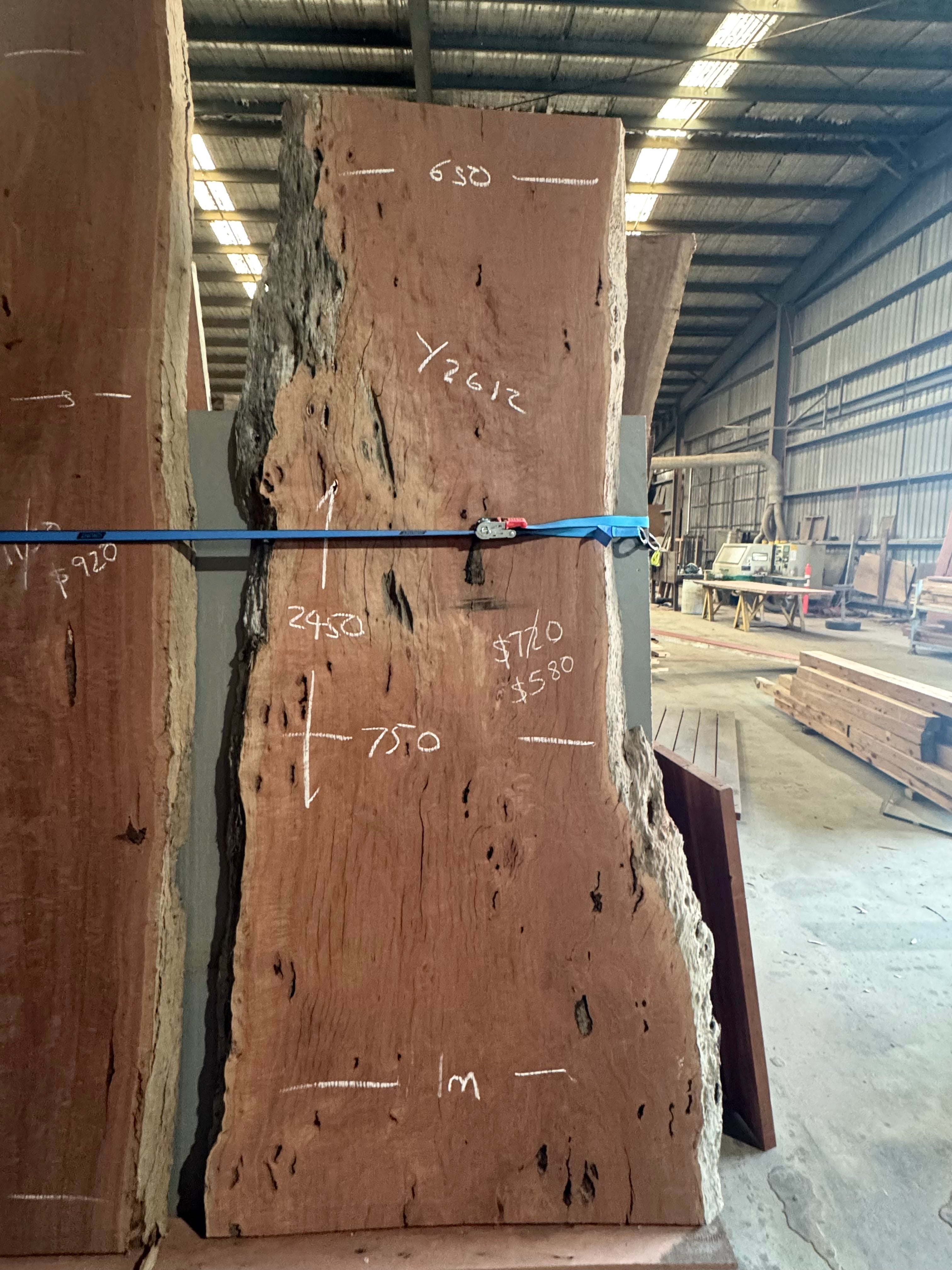 Timber Slabs - One Piece. – Page 3 – Nullarbor Sustainable Timber
