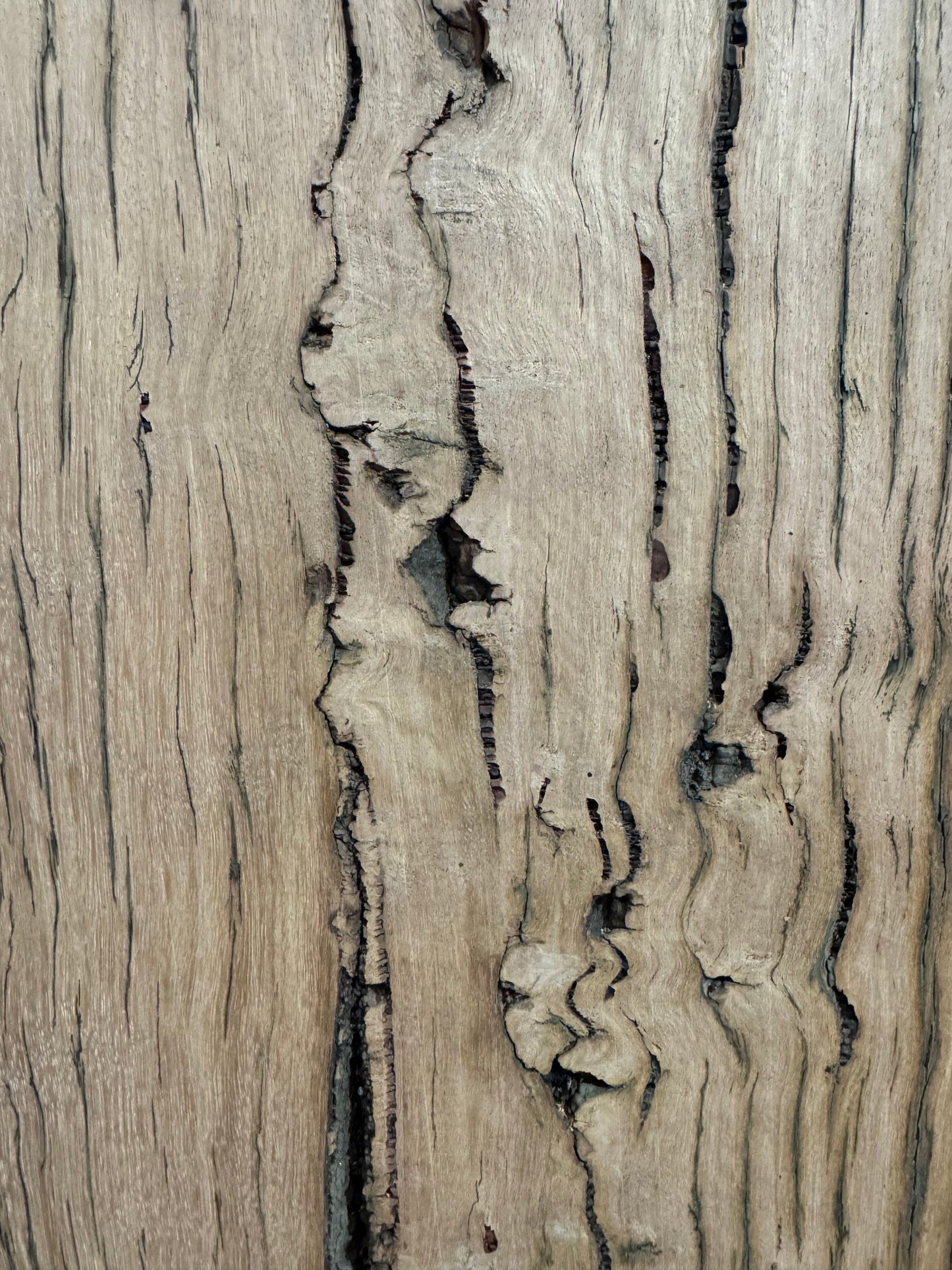 Messmate Birdseye Natural Edge Shelving