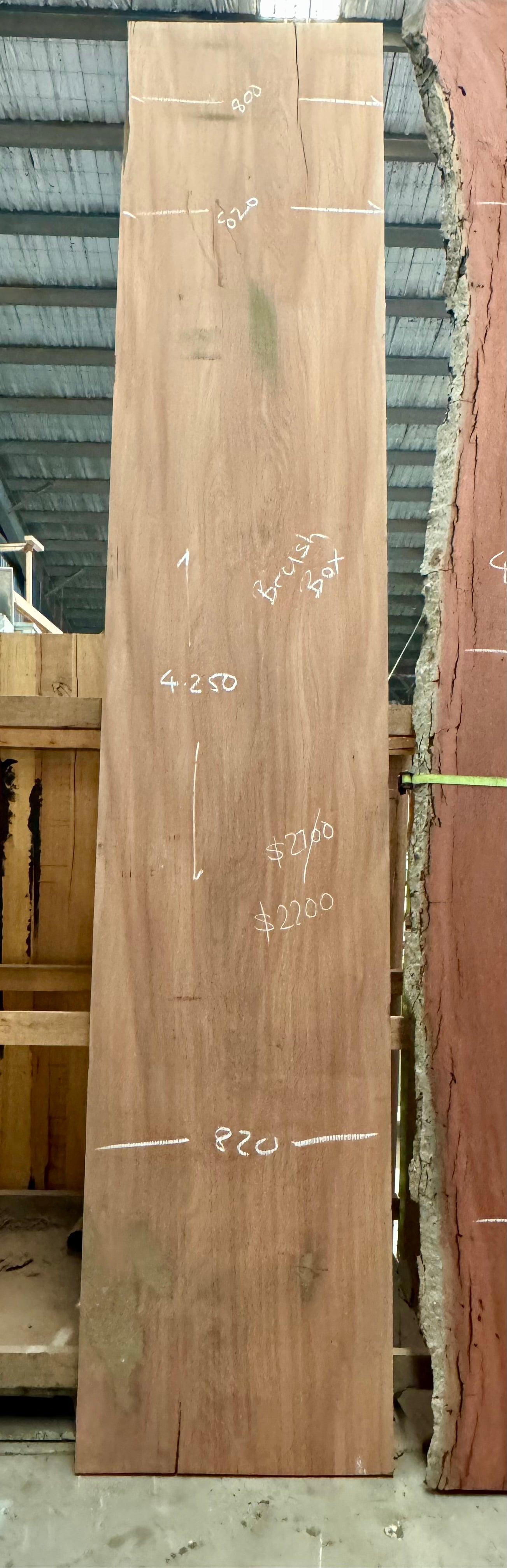 Brushbox Timber Slab