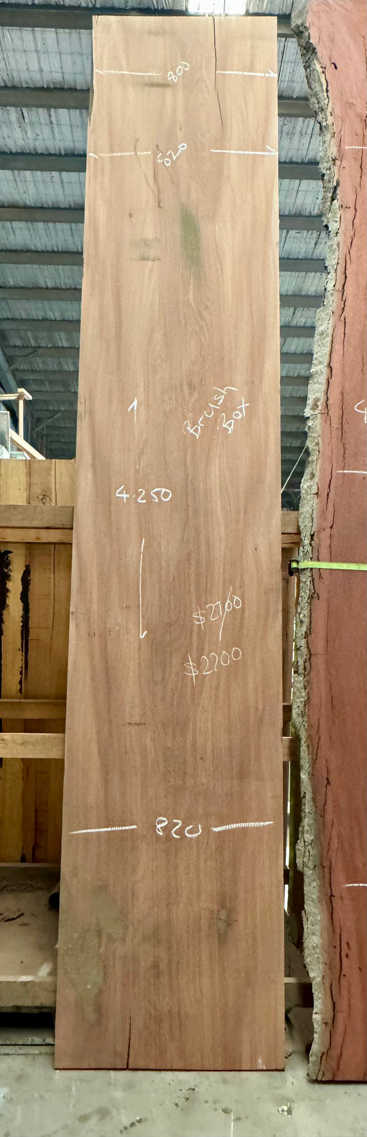 Brushbox Timber Slab