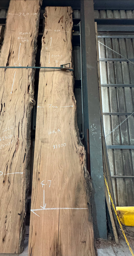 Western Australian Marri Timber Slab