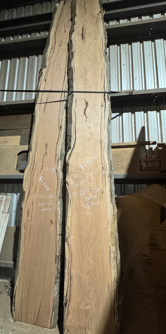 Marri Timber Slab