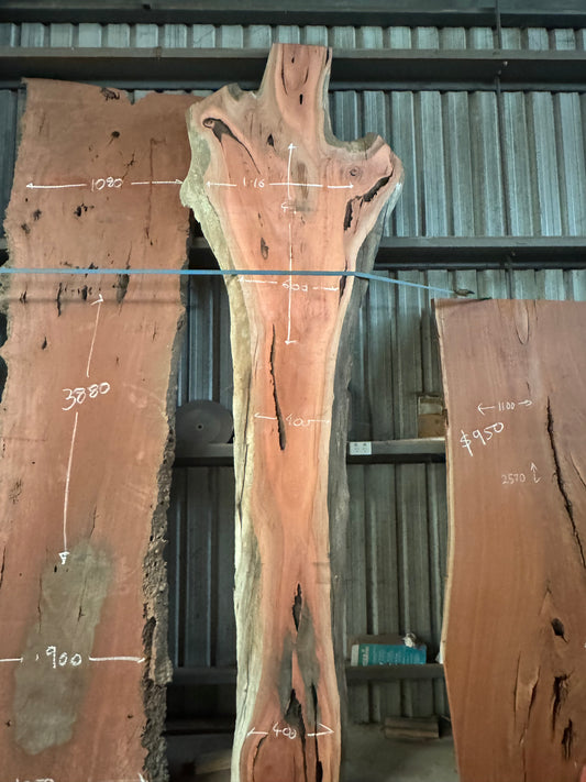 Red Gum Slab