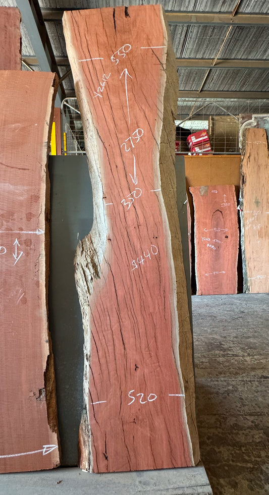 Red Gum Timber Slab
