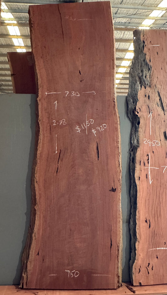 Red Gum Timber Slab
