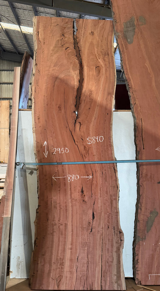 Red Gum Slab - Resin River Slab