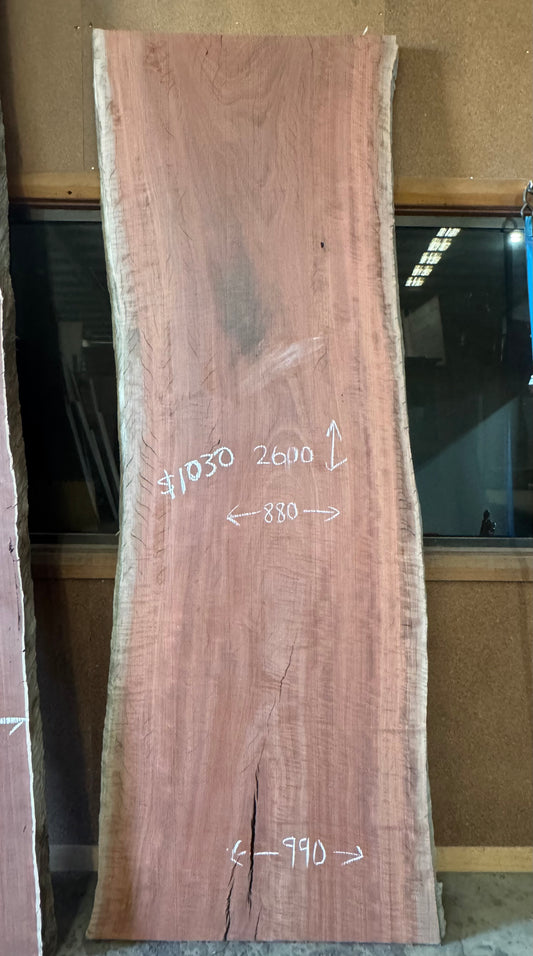 Timber Slab - Red Gum
