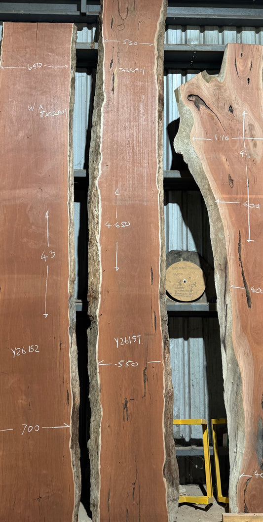 Western Australian Jarrah